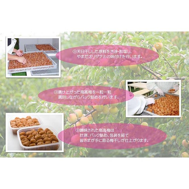 【定期便/2か月ごと/全5回】紀州南高梅「花」塩分約6％（850g）