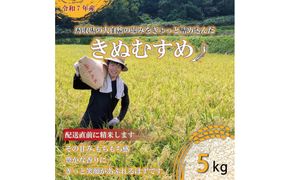 1082.令和7年産　きぬむすめ精米 5kg 313726_CG001