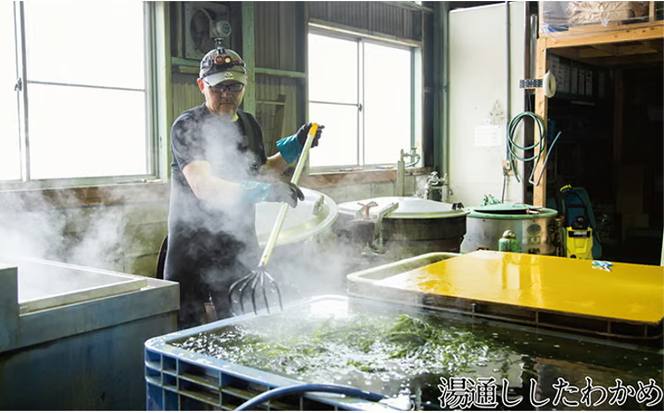 瀬戸内で採れた島磯香る わかめ 22g×3袋と ひじき 28g×3袋 セット【岡山 瀬戸内海 鉄釜炊 天然】 [№5735-1286]