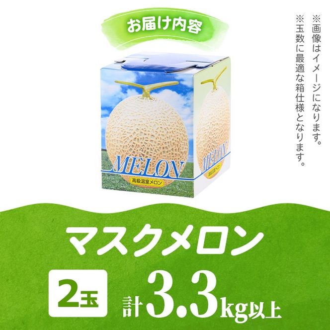 【0242205a】まるまる育ったマスクメロン(2玉・計3.3kg以上) マスクメロン フルーツ 果物 果実 3キロ 数量限定 期間限定【まる美園芸組合】