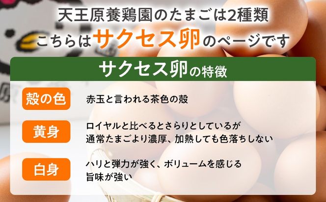【定期便】３回定期 【天王原のたまご】 サクセス卵160個入り