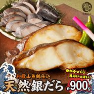 G7335_和歌山魚鶴仕込みのだし漬け天然銀だら切身10切（真空パック入） 約900g 小分け 独自製法 良質な脂 ふっくら 柔らかい 身質 甘み 旨味 白身魚のトロ 梅酒 北海道南産 真こんぶ だし漬け 煮付け ムニエル 味噌漬け 鍋物 冷凍 湯浅町 送料無料