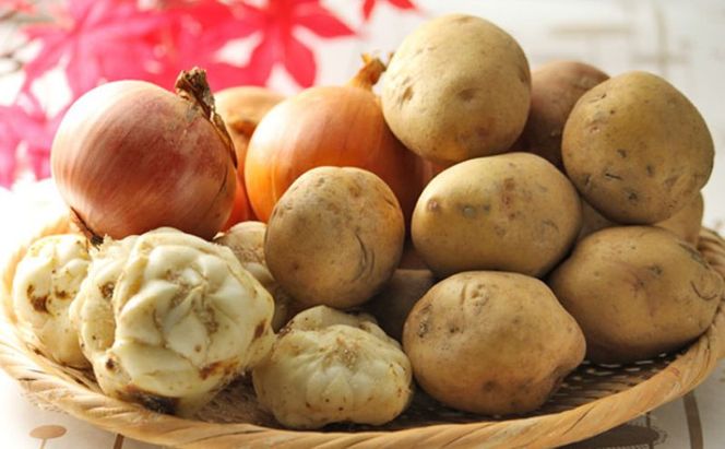 【2026年秋冬発送】富良野 野菜セット 約10kg 人参 かぼちゃ いも 玉ねぎ ごぼう ゆり根 米