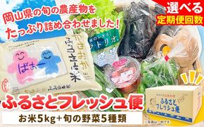 【定期便あり】選べる回数 ふるさとフレッシュ便 米 5kg 野菜 5種 JA晴れの国岡山 笠岡アグリセンター 米5kg 旬の野菜5種類 定期 計1回 3回 12回 お届け 笠岡ふるさと米 野菜 送料無料 岡山県 笠岡市《お申込月の翌月より発送》---A-54-1---