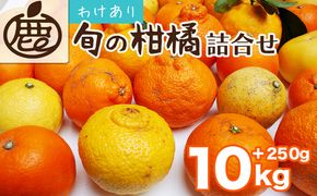 ＜1月より発送＞家庭用 柑橘詰合せ10kg+250g（傷み補償分）（傷み補償分）【訳あり・わけあり】【有田の春みかん詰め合わせ・フルーツ詰め合せ・オレンジつめあわせ】【光センサー選別】