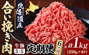 【定期便 6ヶ月連続】北海道産 合い挽き肉 合計1kg（牛5：豚5） 豚肉のコク旨ひき肉｜挽肉 挽き肉 ひき肉です 合挽肉 合挽き肉 豚 肉 豚肉 豚肉ミンチ 合挽豚肉 牛 肉 牛肉 牛肉ミンチ 合挽牛肉 合い挽き 小分け 一人暮らし セット おかず ハンバーグ 冷凍 定期便 肉 絶品 人気 ヒロセ 70000円以下 北海道 釧路町 釧路超 特産品