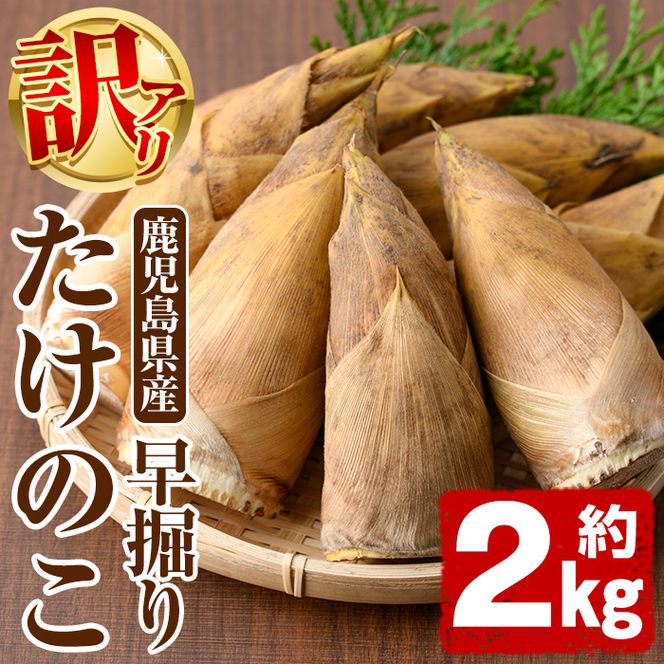 ＜先行予約受付中！2026年12月上旬以降順次発送予定＞訳あり！鹿児島県産 早掘りたけのこ(約2kg) 国産 野菜 たけのこ タケノコ 筍 旬 煮物 水煮 天ぷら つくだ煮【松永青果】akn053-29
