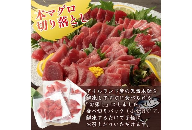 【 全2回定期便 】本マグロ と カツオ の 定期便 海鮮 鮪 鰹 定期 セット まぐろ カツオのたたき 本マグロ 中トロ 赤身 刺身 海鮮 鰹 小分け 冷凍 魚 海産物 魚介類 高知県 まぐろたたき 鮪 藁焼き わら焼き タカシン定期便 海鮮定期便 頒布会