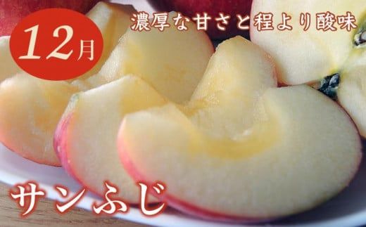 【6回定期便】小布施屋のフルーツ定期便　6ヵ月コース ［小布施屋］ 定期便 頒布会 フルーツ 果物 令和8年産 【2026年7月～12月発送】 ［J-3］