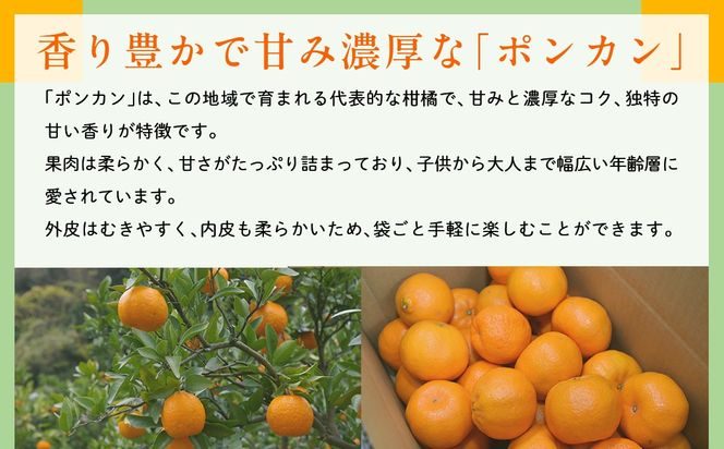 【先行予約】【数量限定】JAにしうわ みつる共選 ポンカン約10kg（2S～2L）※離島への配送不可（2026年1月中旬より順次発送予定） IKTBC005