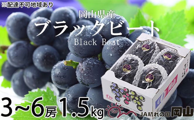 ぶどう 2026年 先行予約 ブラックビート 約1.5kg 3房～6房 ブドウ 葡萄  岡山県産 国産 フルーツ 果物 ギフト 岡山のブドウ デザート 食べ物 日本産 