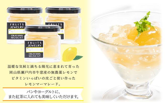 FRUITS JEWELRY 岡山 レモン マーマレード 120g×3個 セット （ 瀬戸内市 牛窓産 レモン使用） ジャム 無添加 皮ごと ビタミン フルーツジャム パン 塗る つける ヨーグルト 食卓 朝食 さわやか 