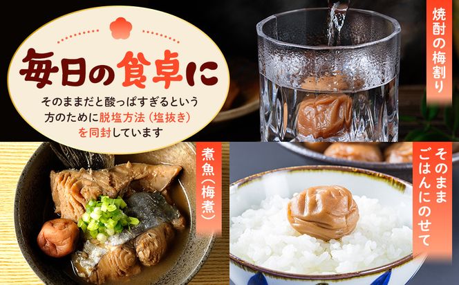 訳あり 紀州南高梅 小梅 まごころ しら干し 90g ×8パック 塩分約20％ ［TR8w］ 304018_CS024