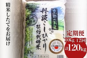 【寄附額改定】【毎月1回お届け】【定期便】米 京都丹波米 こしひかり10kg×12回 計120kg 米 12ヶ月 白米 12回定期便 ※精米したてをお届け コシヒカリ ※北海道・沖縄・離島への配送不可【～3月31日まで】