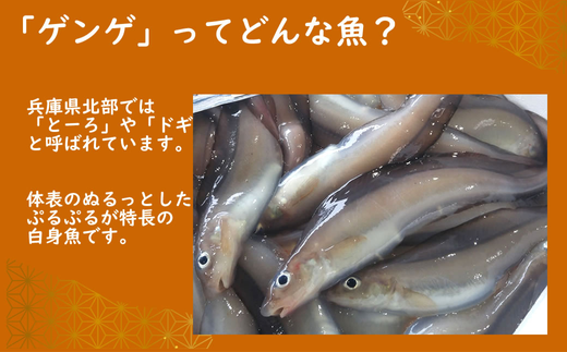 【ふるさと納税】ゲンゲ（ドギ／トーロ／水魚）お吸い物 5パック（5人前）但馬ふるさとの味 280g×5パック 計1.4kg 魚 郷土料理 冷凍 兵庫県 新温泉町 送料無料
