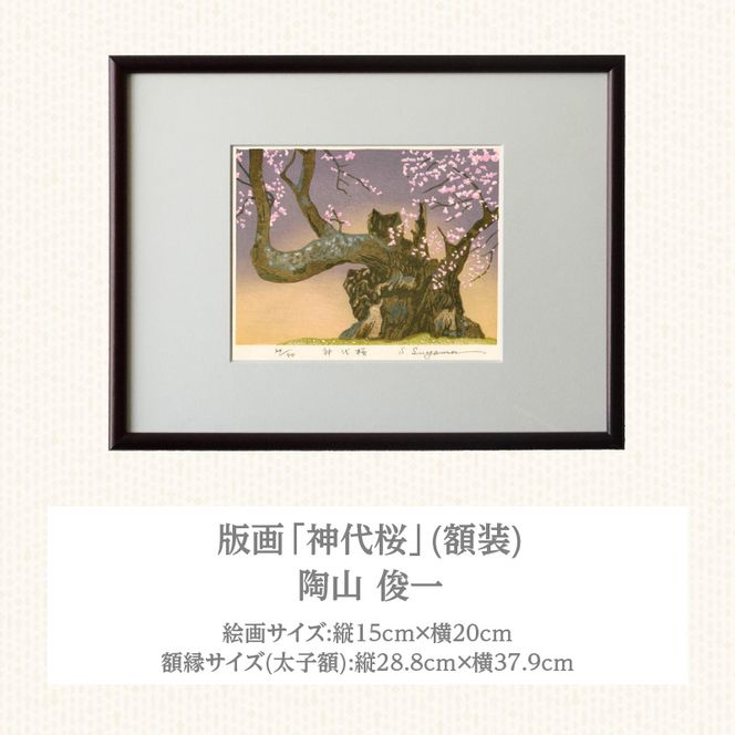 版画「神代桜」 ［201M08］ 版画 神代桜 桜 特別天然記念物 日本三大桜 額装 絵画 木版画家 陶山俊一 小牧市在住 日本 自然 風景 モチーフ 遠近感 質感 木版画 アート アート作品 インテリア 壁掛け 絵 美術品 工芸品 風景画 自然画 愛知県 小牧市 送料無料