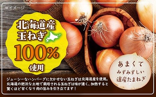 北海道デミハンバーグ1食200g 9セット 北海道 牛肉 豚肉 真空パック冷凍 お弁当 バーベキュー 惣菜 簡単 焼くだけ 個包装 小分け 北海道産玉ねぎ