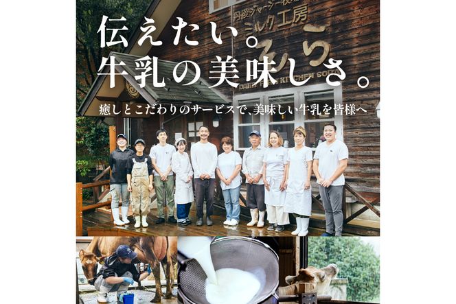 ジャージーミルクピス(500ml×4本セット)化粧箱入  ミルクピス 乳製品 丹後ジャージー牧場 ミルク工房そら ジャージー牛乳の美味しさ広がる 乳酸菌ドリンク 乳酸菌飲料　TJ00017