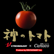 神のトマト 1kg ｜ ミニトマト とまと 野菜 やさい フルティカ 栄養 旨味 富糖度