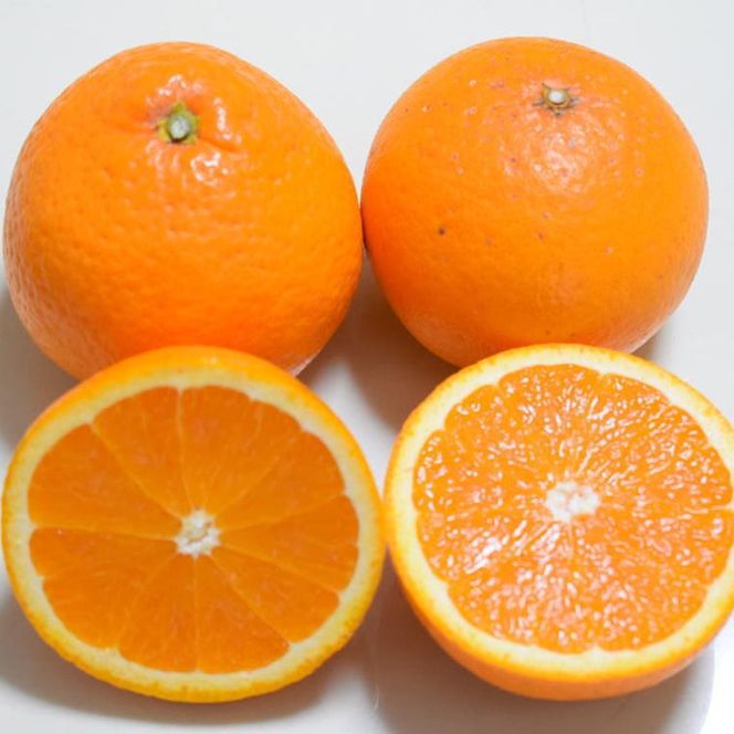 【先行予約】【濃厚】和歌山県有田産 清見オレンジ 約5kg（サイズおまかせ・混合）