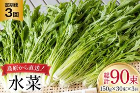 AI338 定期便 3回 水菜 30束 [ 野菜 みずな サラダ やさい 冷蔵 葉物野菜 田中農園 長崎県 島原市 ]