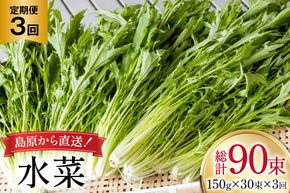 BI338 定期便 3回 水菜 30束 [ 野菜 みずな サラダ やさい 冷蔵 葉物野菜 田中農園 長崎県 島原市 ]