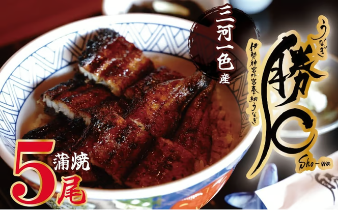 【備長炭で焼く“いい焦がし”】三河一色産うなぎの蒲焼5尾 鰻 ウナギ たれ タレ 国産 備長炭 土用 丑の日 冷凍 三河一色産 H189-014