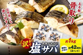 【訳あり】魚屋の味付け骨取り塩サバ3パック（42切れ/約1kg）　TB00055