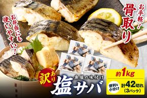 【訳あり】魚屋の味付け骨取り塩サバ3パック（42切れ/約1kg）　TB00055