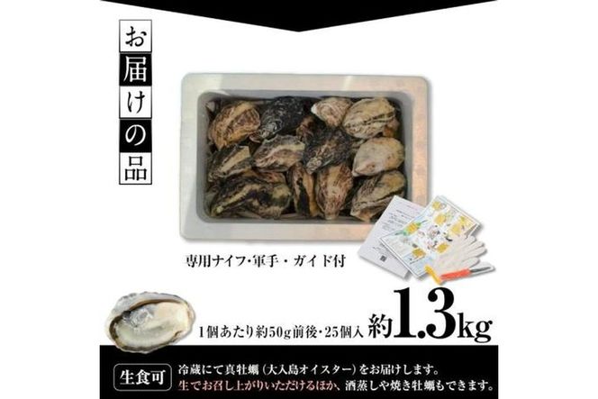 真ガキ 大入島オイスター (約1.3kg) 牡蠣 カキ 貝 海鮮 魚介類 冷蔵 生食可 シングルシード 養殖 大分県 佐伯市【ED08】【(合)新栄丸】