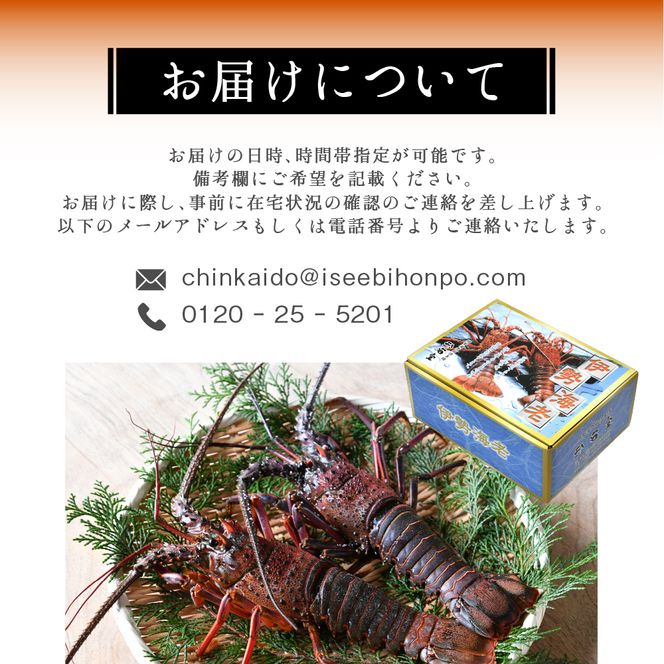 O-11活伊勢海老セット
