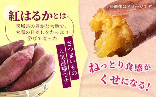 【訳あり】生芋10kg　SSサイズ～2Lサイズ（サイズバラ）　※離島への配送不可