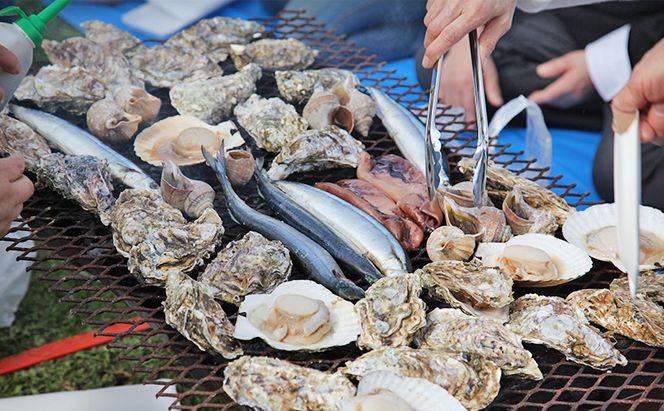 北海道厚岸町 寄附のみの応援受付 10,000円コース（返礼品なし 寄附のみ 10000円） 支援 自治体支援 