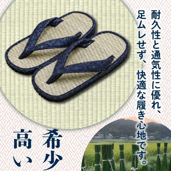 呉服屋さんの七島イ雪駄（男性用フリーサイズ）_29217A