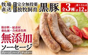 a1111 ＜保存料・発色剤・結着材・合成着色料 無添加＞月ノ灯牧場直送！鹿児島県産黒豚ソーセージ3種盛り合わせ計12本(ソーセージ4本・ハーブソーセージ4本・チョリソー4本)【pig village company】 姶良市 国産 豚肉 黒豚 ソーセージ セット 鹿児島