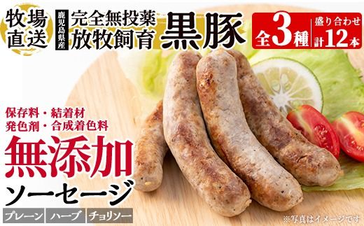 a1111 ＜保存料・発色剤・結着材・合成着色料 無添加＞月ノ灯牧場直送！鹿児島県産黒豚ソーセージ3種盛り合わせ計12本(ソーセージ4本・ハーブソーセージ4本・チョリソー4本)【pig village company】 姶良市 国産 豚肉 黒豚 ソーセージ セット 鹿児島