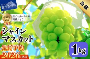 【2026年先行予約】山梨県産 シャインマスカット約1㎏（2～3房）  シャインマスカット ぶどう シャイン 山梨県産 フルーツ 果物 産地直送 数量限定 山梨 富士吉田 フルーツ 富士吉田市