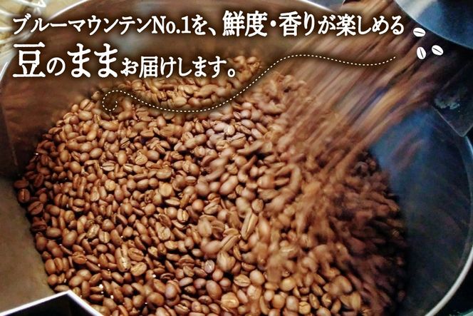 【12回定期便】 コーヒー豆 ブルーマウンテン 100g [珈琲Chiba 福岡県 筑紫野市 21761426] コーヒー 珈琲 豆 珈琲豆 セット ブルーマウンテンNo.1 ブルマン 豆のまま おいしい coffee bean beans 定期 定期便 12ヶ月 12回