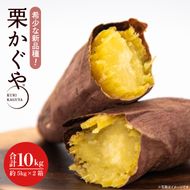 【2026年7月より順次発送】希少な新品種！７月限定「行方の黄福(栗かぐや)」さつまいも 約10kg｜さつまいも サツマイモ さつま芋 お芋 希少 新品種 栗かぐや 先行予約 茨城県 行方市(AE-89)