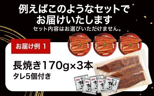 国産うなぎ蒲焼きガチャ福袋 500g入〈 うなぎ屋 かわすい 〉 (A1154-1) ｜ グルメ大賞連続受賞 特製タレ付 送料無料 高評価 人気 ギフト 贈り物 お歳暮 御歳暮 丑の日 お中元 特産品 和歌山県 有田市
