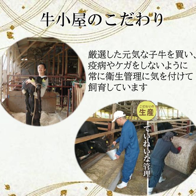 ＜生産直売＞知多牛 響 ミニステーキ 200g (冷凍)柔らか 一番人気