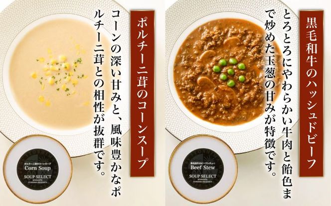 【全6回定期便】SoupSelect 2点セット 糸島市 / 糸島正キ スープ レトルト[AQA072] スープ soup スープセット 野菜スープ きのこ ヴィーガンスープ 惣菜