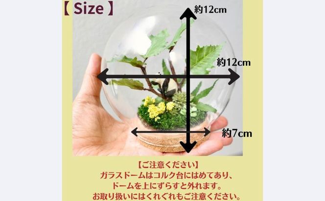 パンダのお庭ドーム盆栽 造花 アレンジ インテリア 可愛い ミニチュア アレンジメント ギフト プレゼント 誕生日 雑貨 コルク 和風アレンジ 造花アレンジ もみじ