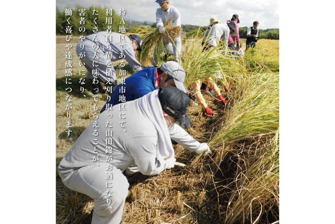 剣菱 純米酒 なんでんの 720ml [ 加東市特A地区 東条産山田錦 剣菱酒造 日本酒 酒 お酒 四合瓶 贈答品 ギフト 兵庫県 兵庫 加東市 障がい者支援 思いやり型返礼品 ]