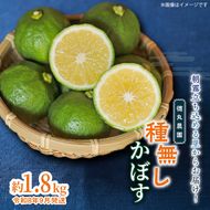 【令和8年9月発送】朝霧立ち込める里からお届け！徳丸農園 種無しかぼす約1.8kg_2177R