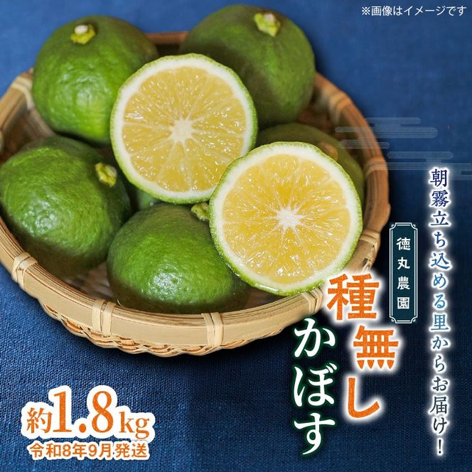 【令和8年9月発送】朝霧立ち込める里からお届け！徳丸農園 種無しかぼす約1.8kg_2177R