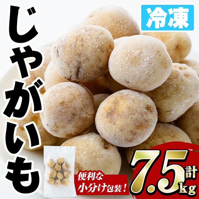 yvszⓀႪ (v7.5kgE250g×30) WKC jV^J ɂ䂽 Ⓚ {C    tC Aq[W X[v J[ V`[ ȒP ٓ   ԓy yLЂ܂YHizakn036-07