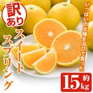 ＜先行予約受付中！2026年12月中旬以降順次発送予定＞訳ありスイートスプリング(約15kg) 鹿児島県 阿久根市 フルーツ 果物 デザート 柑橘 甘味 果肉 果汁【松永青果】akn053-41