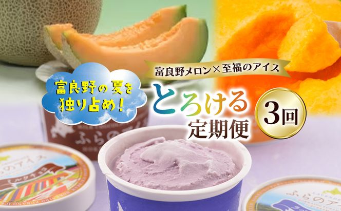 【定期便3回】富良野の夏を独り占め！富良野メロン×至福のアイス "とろける定期便" メロン 赤肉 大玉 果物 アイス アイスクリーム デザート おやつ ご褒美 冷凍 定期便 産地直送【2026年夏～発送】