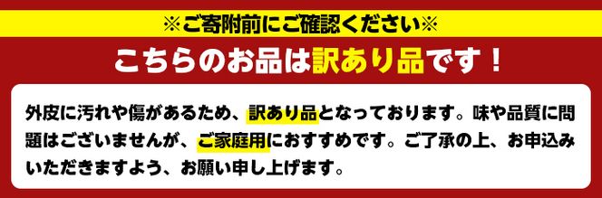 ＜先行予約受付中！2026年12月以降順次発送予定＞＜数量限定・訳あり＞みはや(約5kg) 国産 鹿児島県 阿久根市 果実 果物 フルーツ 柑橘 みかん ミカン デザート 酸味 甘味 期間限定 数量限定【桐野柑橘株式会社】akn070-01